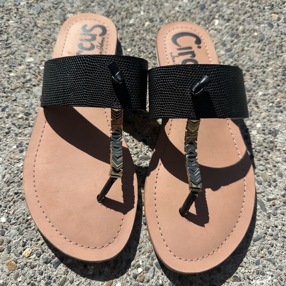 Circus by Sam Edelman Black and Tan Sandals